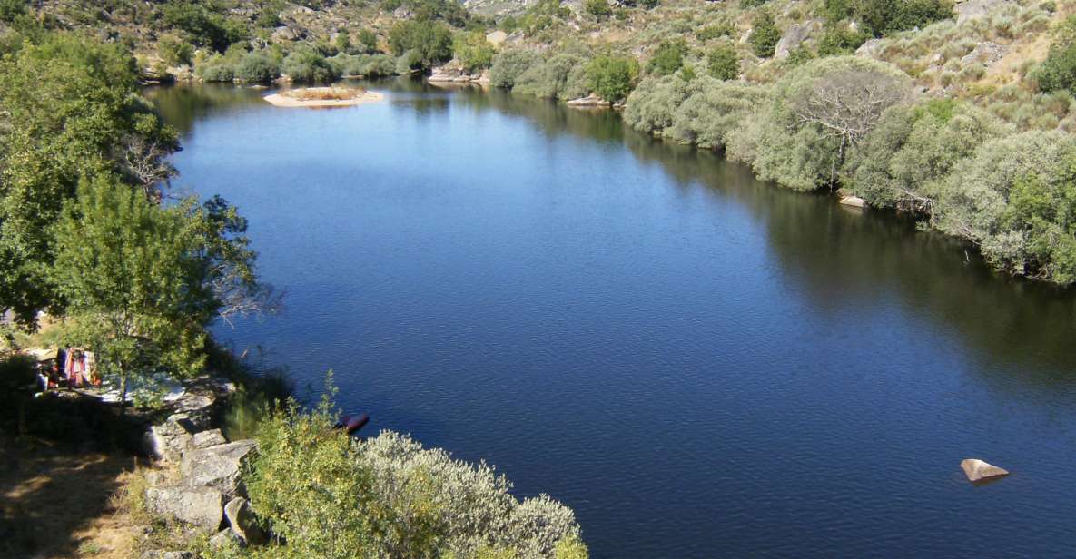 Kayak Tour on the Côa River - Overview of the Activity