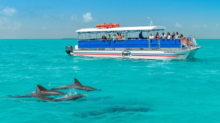 Key West: Dolphin Watching And Snorkeling Eco Cruise Tour Tour Overview