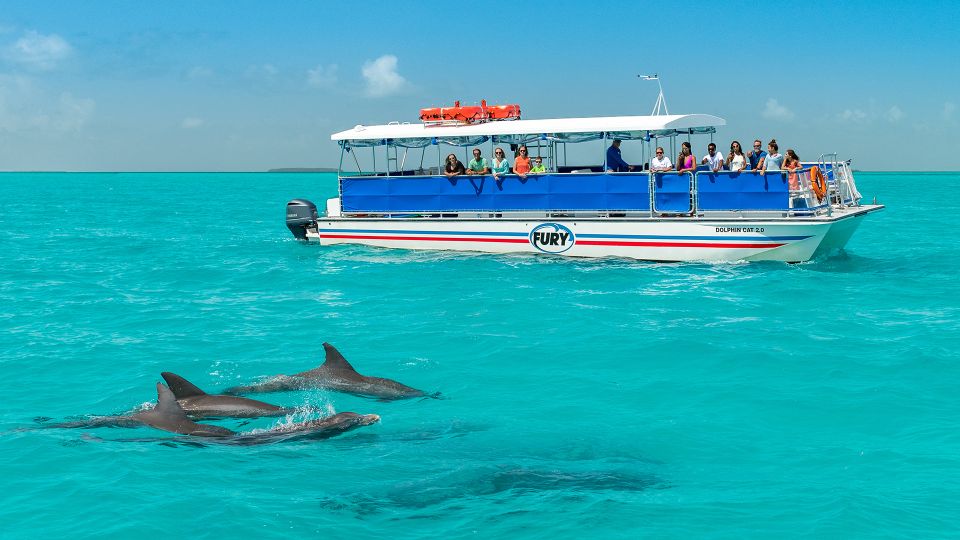 Key West: Dolphin Watching and Snorkeling Eco Cruise Tour - Tour Overview