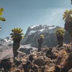 Kilimanjaro Climb, Lemosho Route (6 Day) Route Overview