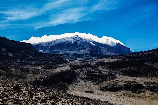 Kilimanjaro Climb, Northern Circuit Route (8-Day) - Transportation and Logistics