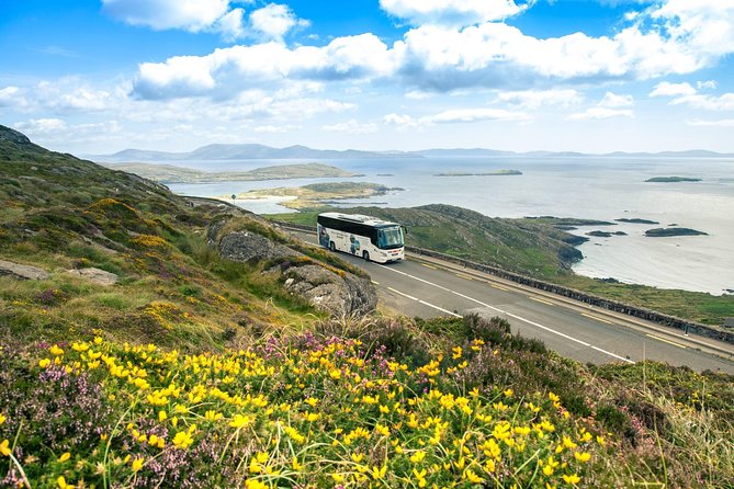 Killarney Super Saver: Dingle and Slea Head Day Trip Plus Ring of Kerry and Killarney Lakes Day Trip - Dingle and Slea Head Day Trip