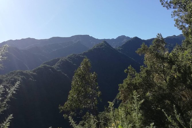 Kings Levada São Jorge Location And Scenery