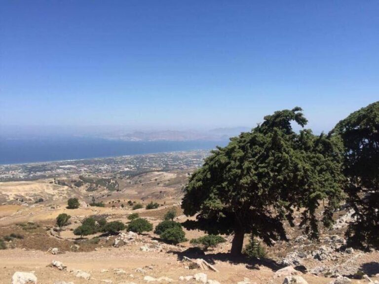 Kos: Full Day Jeep Safari With Lunch Tour Overview And Pricing