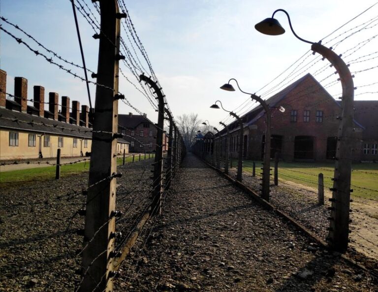 Krakow: Auschwitz Birkenau & Wieliczka Salt Mine With Lunch Tour Overview And Pricing