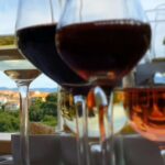 Krk: Family Owned Winery Tour And Tasting Activity Overview