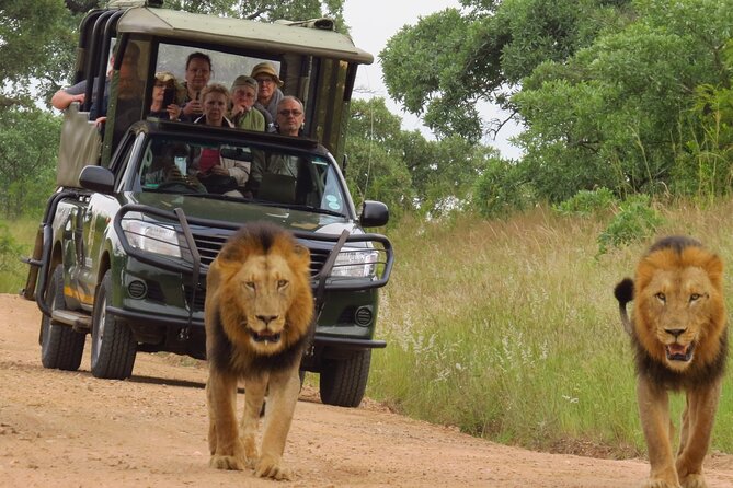 Kruger National Park Sunrise Morning Private Safari - Hazyview Pickup and Drop-off