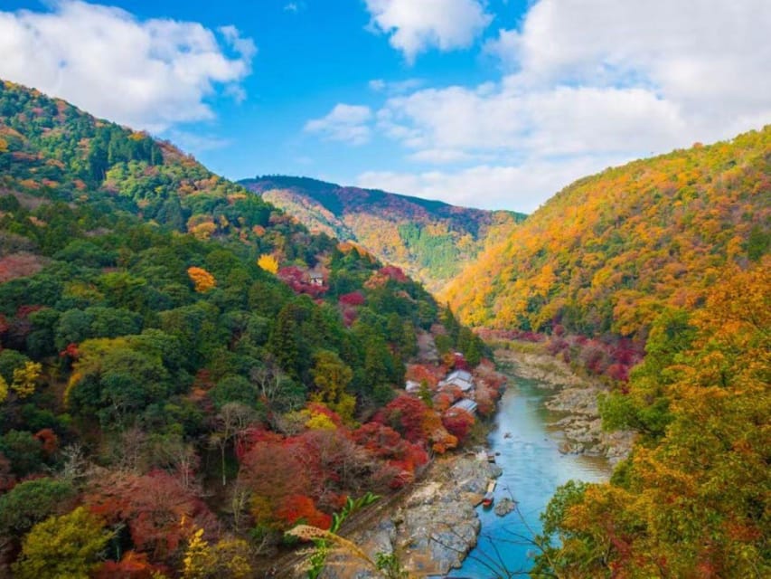 Kyoto: Arashiyama and Sanzen In Temple Day Tour - Accessibility and Group Size