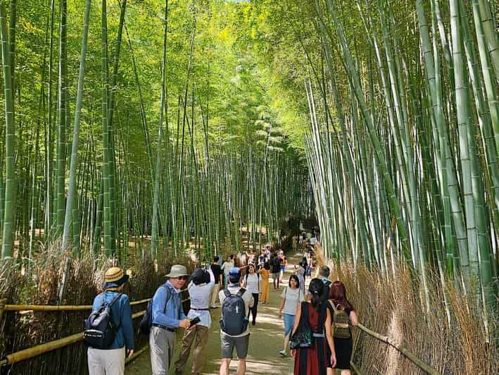 Kyoto: Arashiyama Bamboo Grove 3-Hour Guided Tour - Tour Overview and Pricing