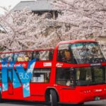 Kyoto: Hop On Hop Off Sightseeing Bus Ticket Ticket Information