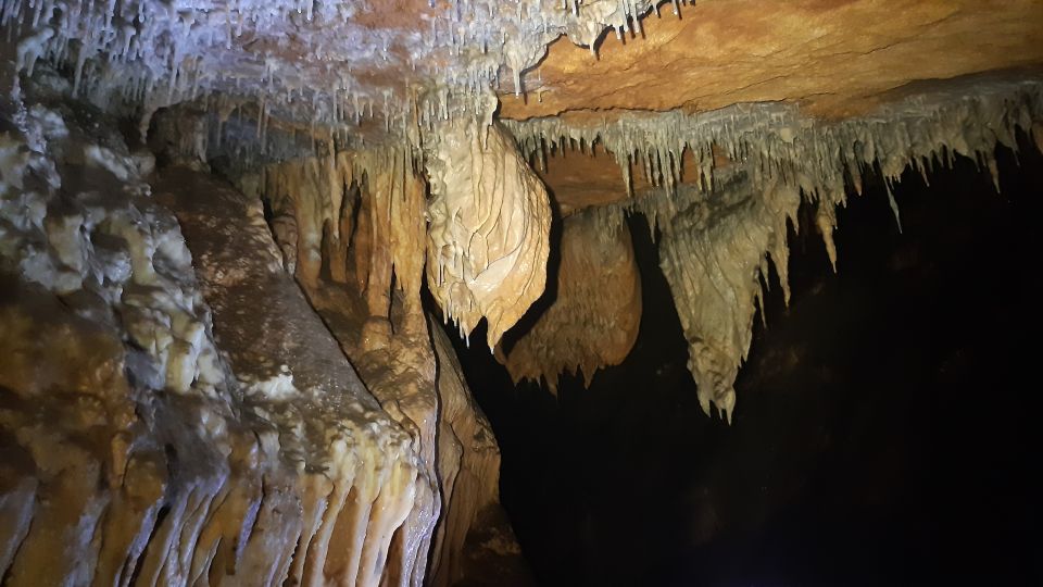 La Ciotat: Caving in Calanques National Park Half-Day Tour - Pricing and Booking Details