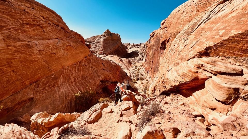 Las Vegas: Valley of Fire Scenic Tour - Overview of the Valley of Fire