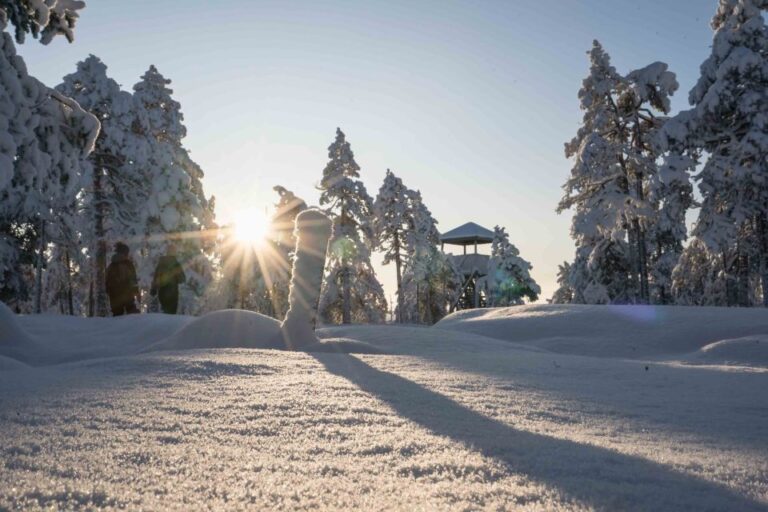 Levi: Explore The Wilderness Immerse In Lappish Wilderness