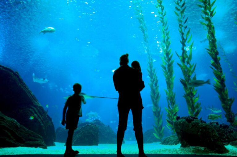 Lisbon: 48 Hour Hop On Hop Off Bus Tour And Oceanarium Entry Overview And Pricing