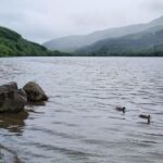 Loch Lomond And The Highlands Day Tour Tour Details