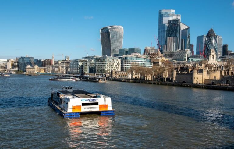 London River Thames Lunch Cruise Experience Overview