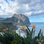 Madeira: Cliff Hanger Vereda Larano Hike Machico Overview And Pricing