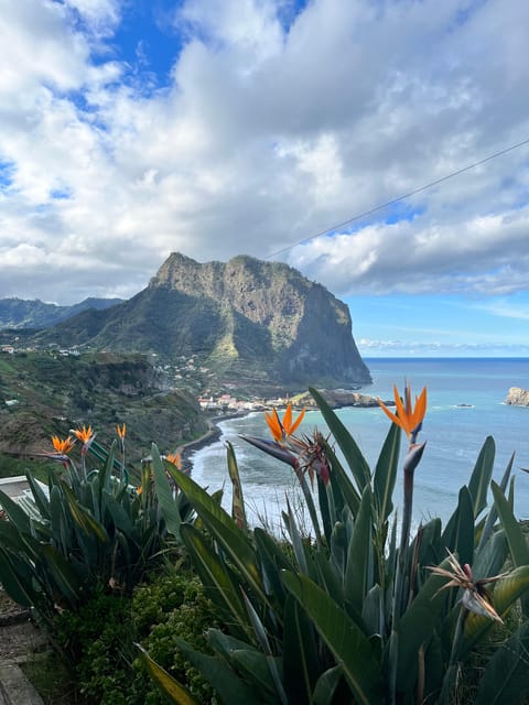 Madeira: Cliff Hanger Vereda Larano Hike Machico - Overview and Pricing