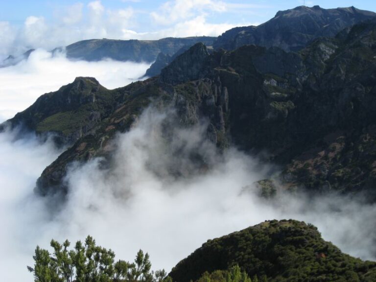 Madeira: Full Day Teixeira Walk Activity Overview