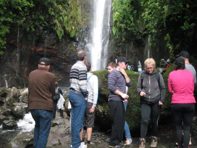 Madeira: Mountain Walk With Lagoon And Waterfalls Activity Overview