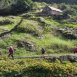 Madeira: Private Vereda Do Larano Hike Tour Details