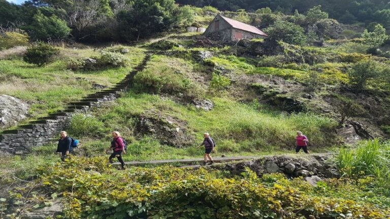 Madeira: Private Vereda Do Larano Hike Tour Details