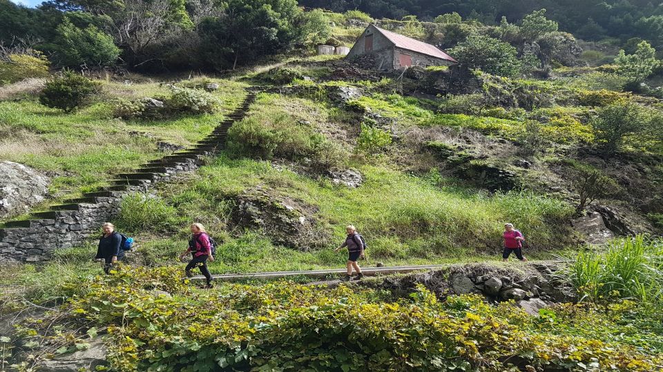 Madeira: Private Vereda Do Larano Hike - Tour Details