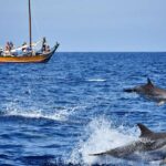 Madeira: Whale Watching Excursion In A Traditional Vessel Excursion Overview