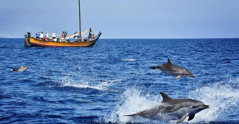 Madeira: Whale Watching Excursion In A Traditional Vessel Excursion Overview