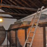 Madrid Region Wineries: Guided Tour And Tastings Tour Overview And Details