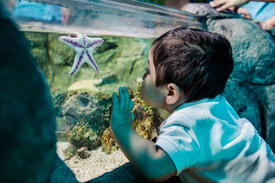 Mall of America: Sea Life Minnesota Aquarium Entry Ticket - Ticket Pricing and Policies