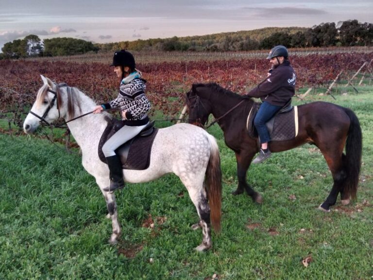 Mallorca: Activity With Horses, Antique Mallorca Location And Pricing