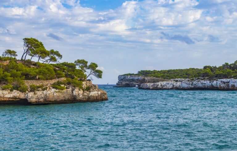 Mallorca: Cala Mondragó Natural Park Jetski Tour Experience Highlights