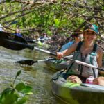 Mangrove Tunnels & Mudflats Kayak Tour Local Biologist Guides Tour Overview And Details