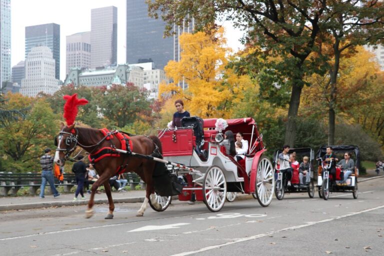 Manhattan: Vip Private Horse Carriage Ride In Central Park Private Carriage Ride Details