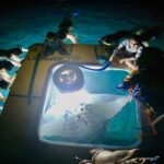 Manta Ray Snorkel Moonlight Kona Hawaii Small Group Available Manta Ray Encounter