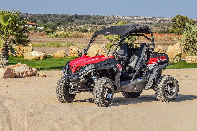 Marrakech: Buggy Tour in the Palmgroves - Tour Overview