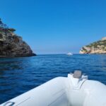 Marseille: Calanques Côte Bleue Marine Park Boat Cruise Exploring The Calanques Coast