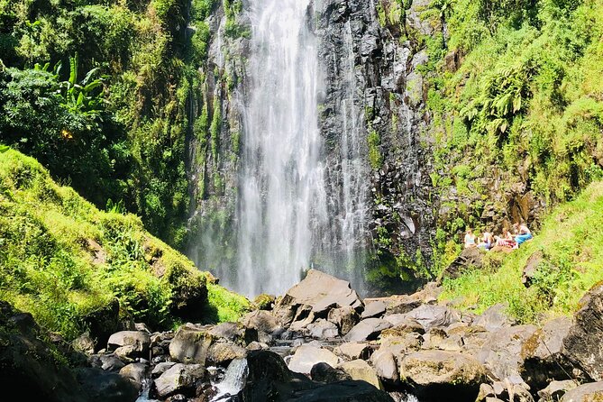 Materuni Waterfall, Coffee Tour And Picnic Hot Lunch Overview Of The Experience