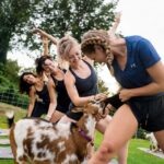 Maui Goat Yoga With Miniature Goats Mauis Captivating Coastline