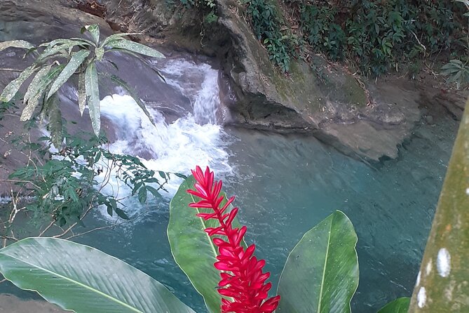 Mayfield Falls Nature Walk Included In The Tour