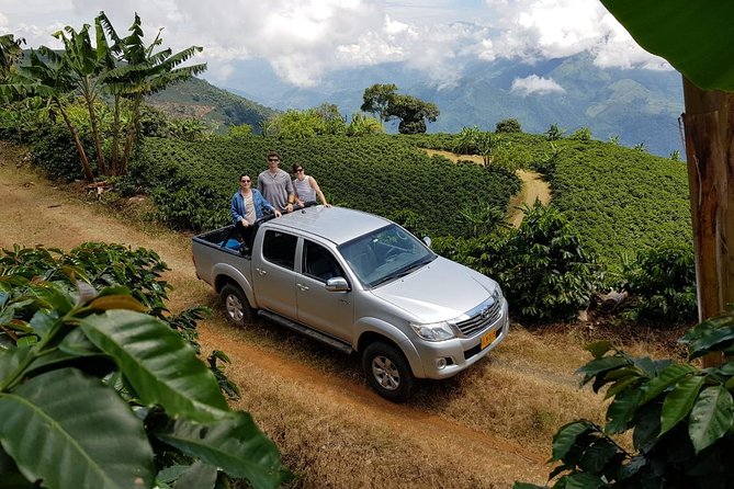 Medellín Coffee Tour to Concordia - Explore Colombias Coffee Region