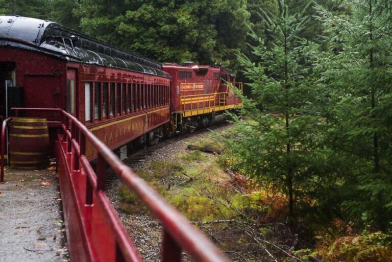 Mendocino County: Skunk Train Wolf Tree Turn Train Ride Overview And Pricing