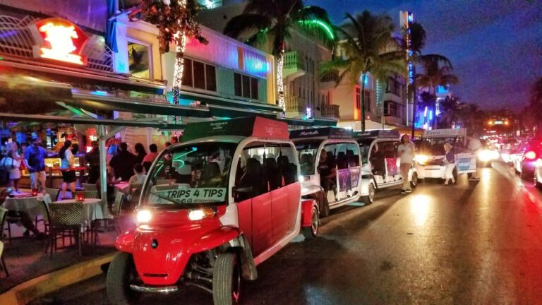 Miami: Discover South Beach Tour Tour Experience