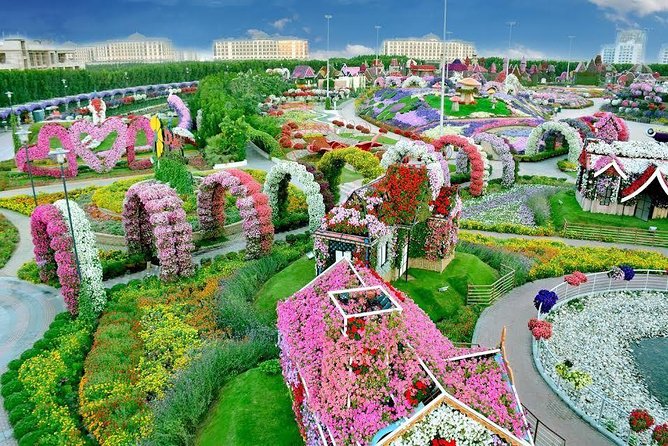 Miracle Garden Ticket Dubai With Shared Transfers - Tour Details