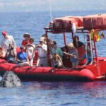 Molokini Snorkel & South Maui Coast Tour Tour Duration And Availability