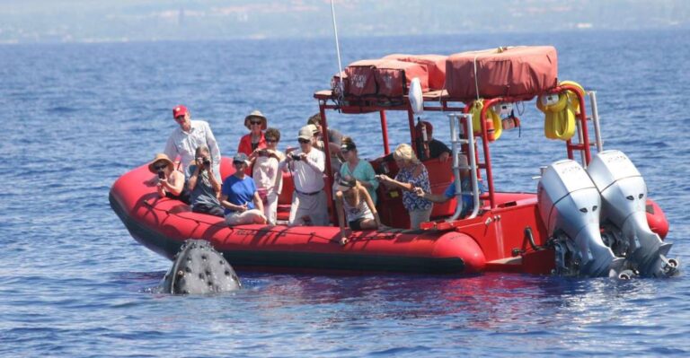 Molokini Snorkel & South Maui Coast Tour Tour Duration And Availability