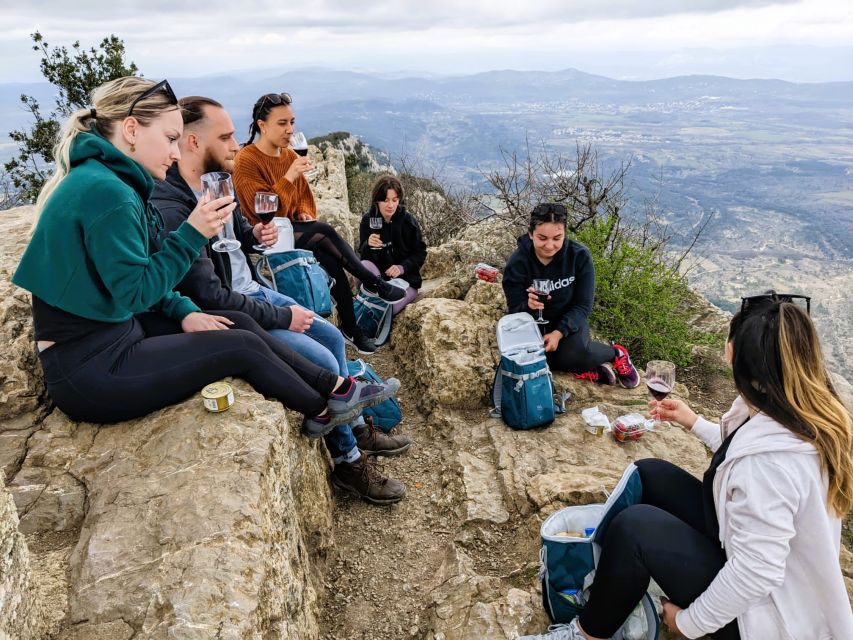 Montpellier: A Day in a Vineyard at Pic Saint Loup - Exploring the Vineyards