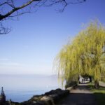 Montreux: Capture The Most Photogenic Spots With A Local Tour Overview