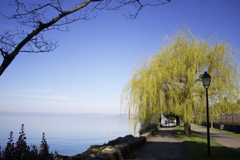 Montreux: Capture The Most Photogenic Spots With A Local Tour Overview